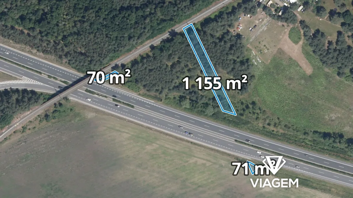 Prodej lesa 1231 m²